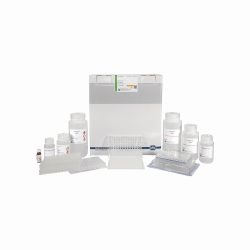 NucleoSpin&reg; 96 RNA, kits