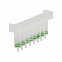 NucleoSpin&reg; 8 Tissue, kits