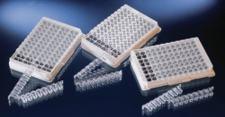 Module f&uuml;r Immunologie Breakable, Enhanced Binding (EB)-Oberfl&auml;che