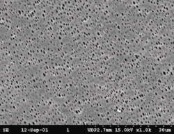 Membranfilter Sorte NL, Polyamid