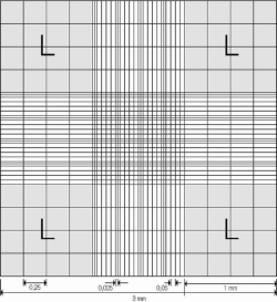 Zählkammer nach Neubauer