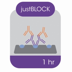 Blockierlösung für Western Blot