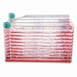 Mehrschichtige Zellkultursysteme CellSafeTM CellFac&reg; 10-lagig