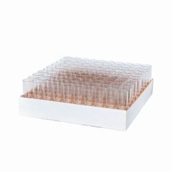 Drosophila tubes, PP